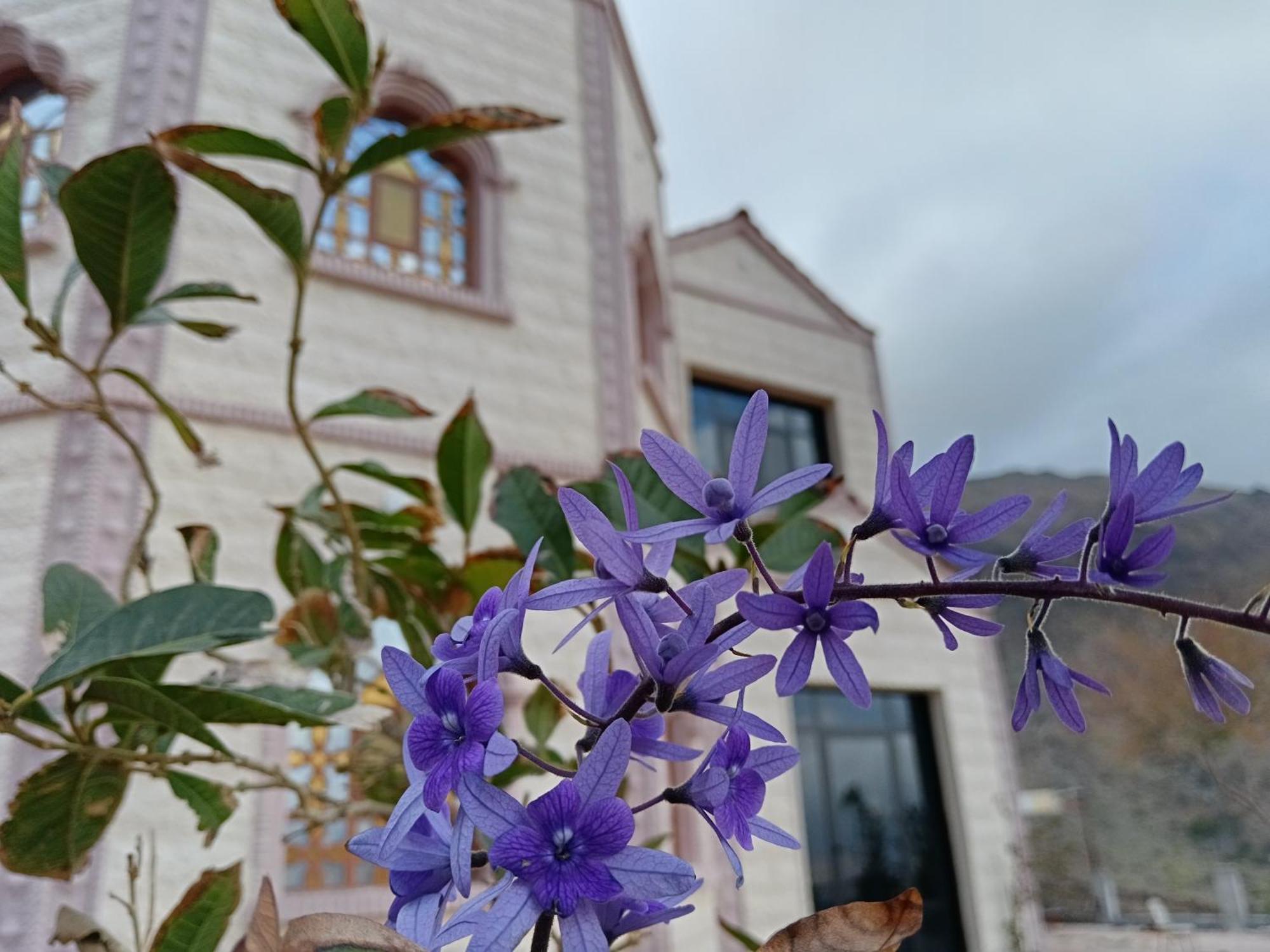 Maison d'hôtes Majan View Near Wakan Nakhl